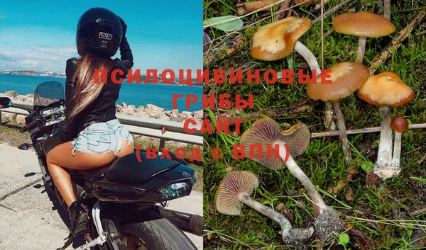 ALPHA PVP Волоколамск